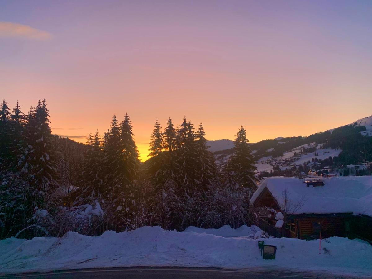 Chalet Le Renard Du Lac Les Gets Exterior foto